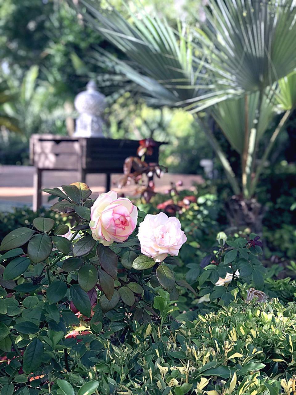 Villa Marrone - Relais - 马尔萨拉 外观 照片