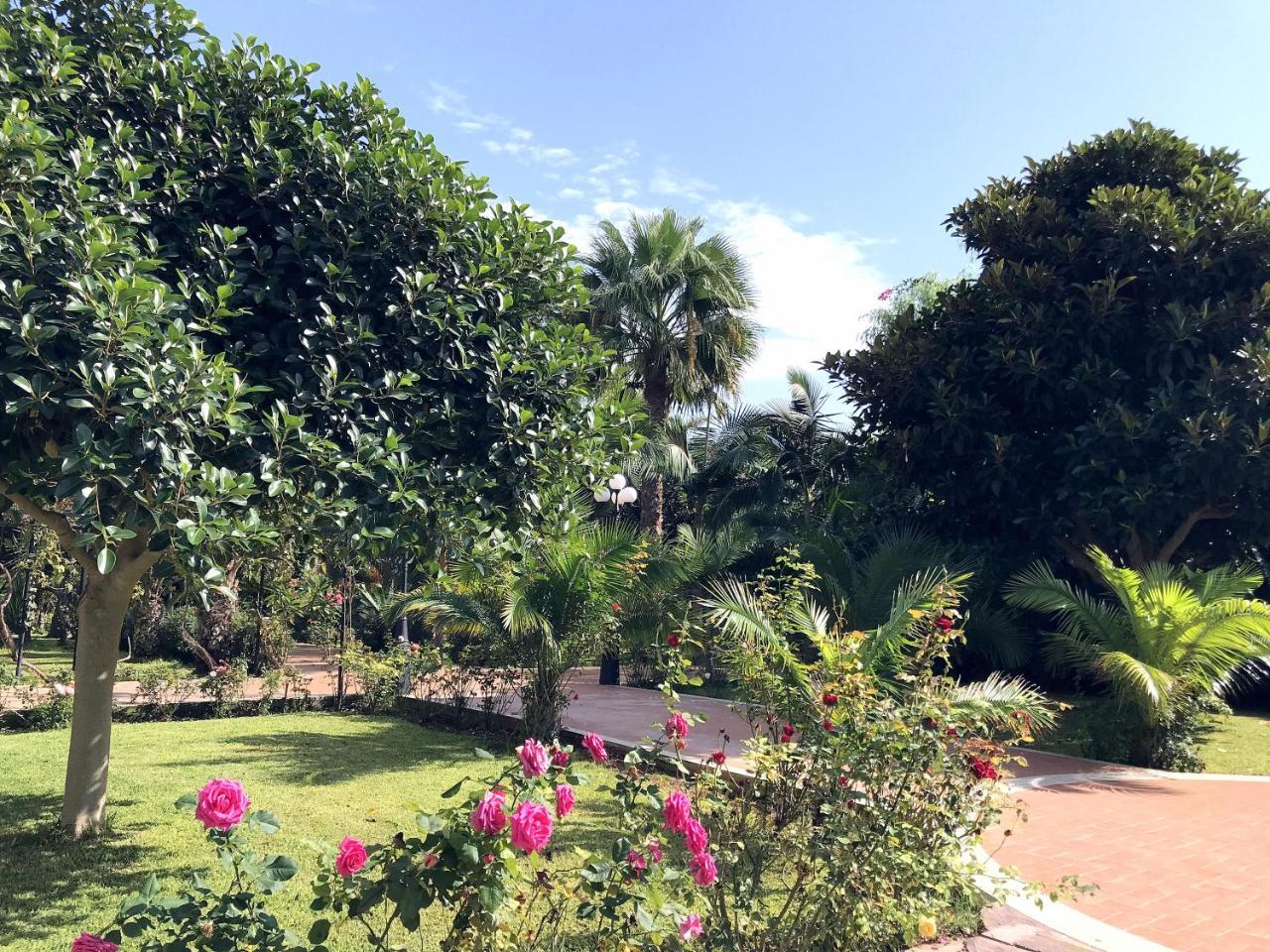 Villa Marrone - Relais - 马尔萨拉 外观 照片