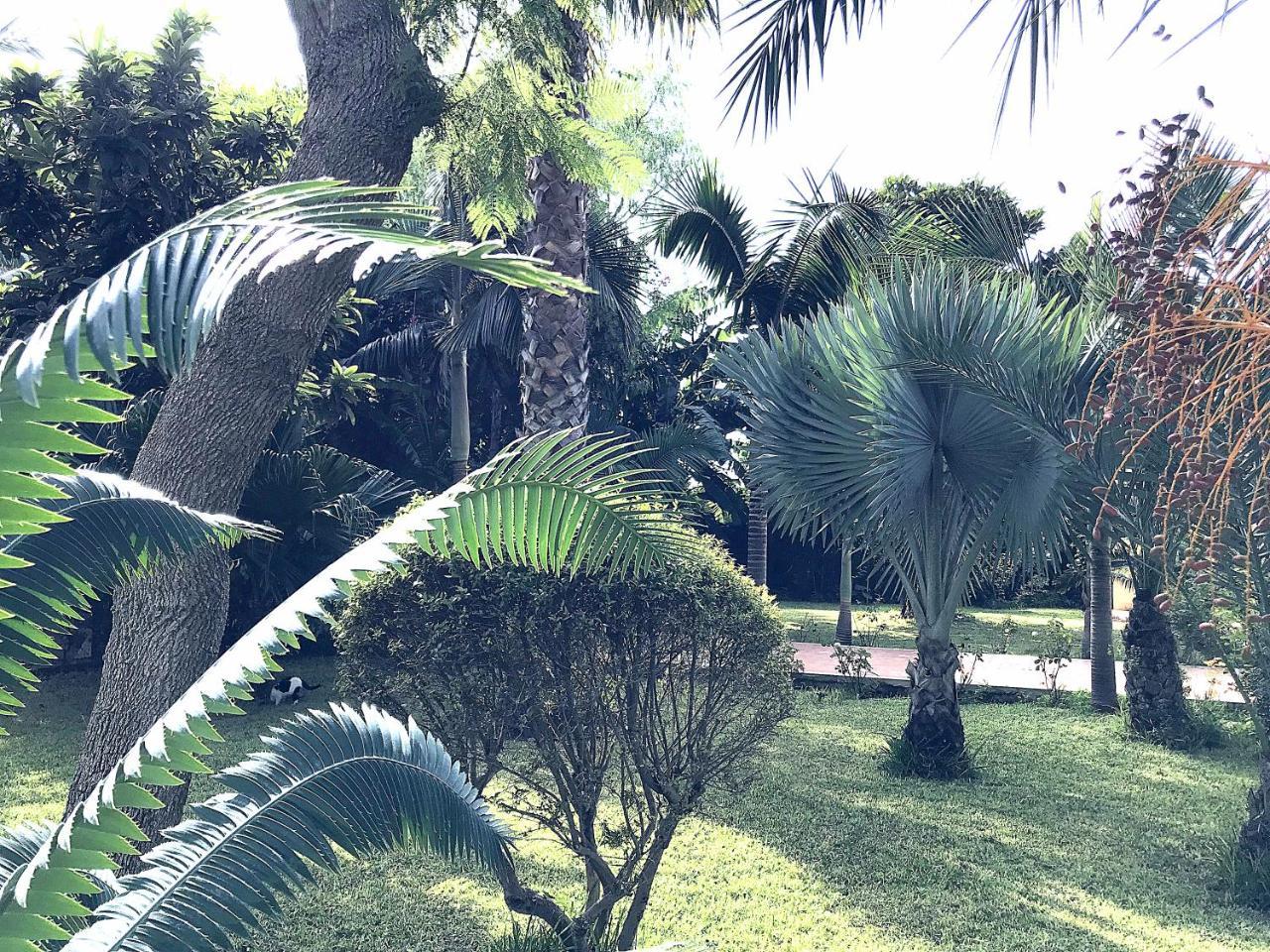 Villa Marrone - Relais - 马尔萨拉 外观 照片